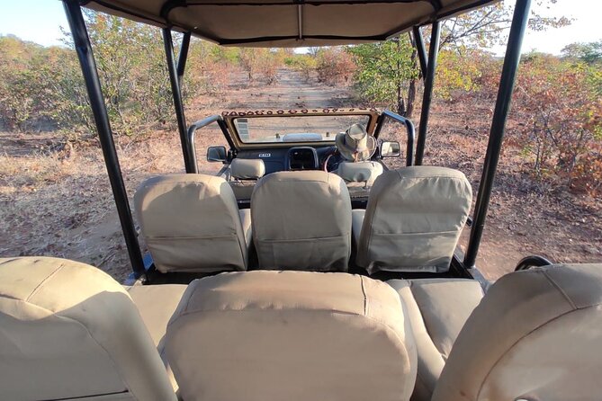 Baobab-Sunrise-Sunset-Vulture-Moonlight Safaris, 4 Options - The big baobab and local crafts
