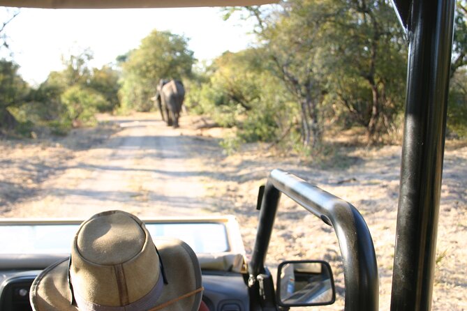 Baobab-Sunrise-Sunset-Vulture-Moonlight Safaris, 4 Options - From town roads to bush tracks