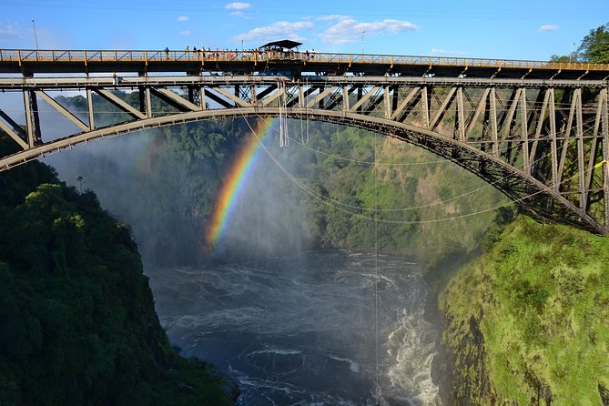 BigAir Experience: Bungee,Swing & Slide from Victoria Fall Bridge - Choosing between bungee, swing, and zipline