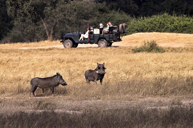 Birdwatching Cruise in Zambezi River with Breakfast - Five things to know before you book
