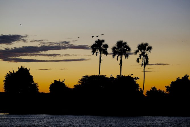 Birdwatching Cruise in Zambezi River with Breakfast - Booking details and weather rules