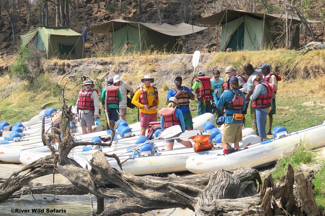 Canoeing Upper Zambezi 1 Day - River Wild Safaris - Key points before you book