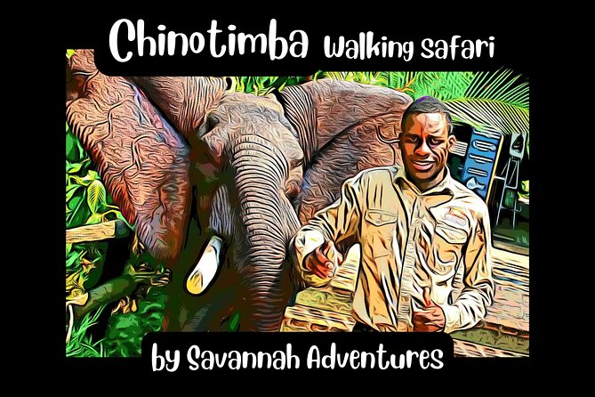 Chinotimba Township Tour in 4wd - Key points to know before booking