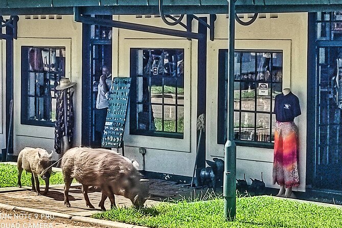 Chinotimba Township Tour in 4wd - Why a 4WD is a smart way to see Victoria Falls town