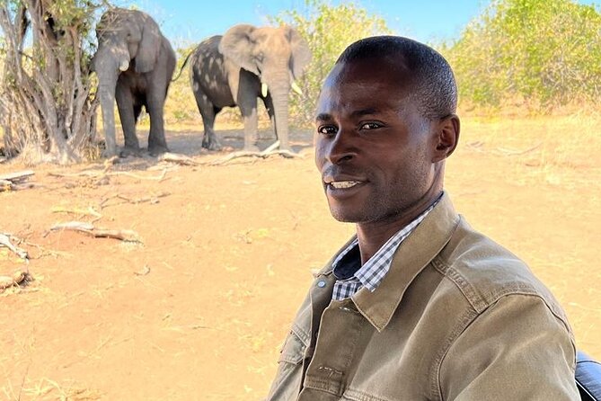 Chobe Botswana Full-Day Trip - Why Chobe makes a strong day trip from Victoria Falls
