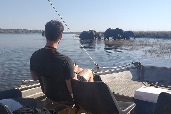 Chobe Botswana Full-Day Trip - The early departure and road transfer