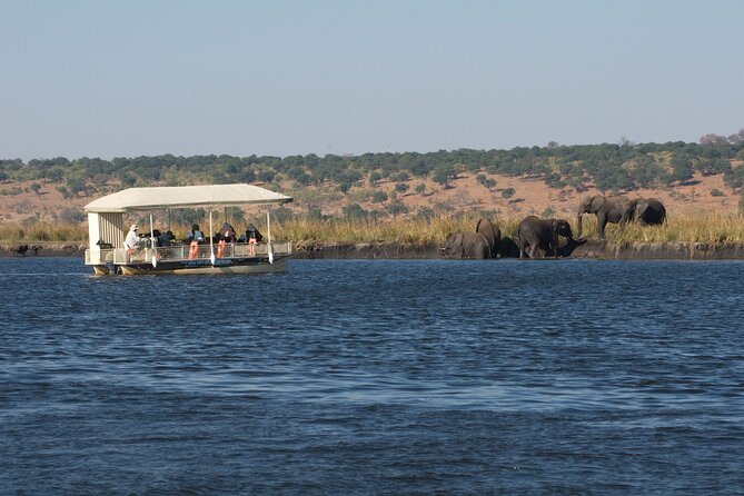 Chobe Day Trip - Why Chobe makes a strong add-on from Victoria Falls