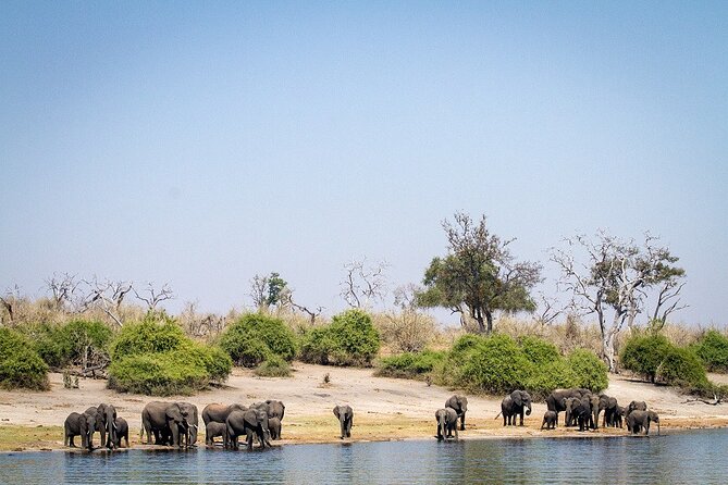 Chobe Day Trip - Practical planning for a smoother day
