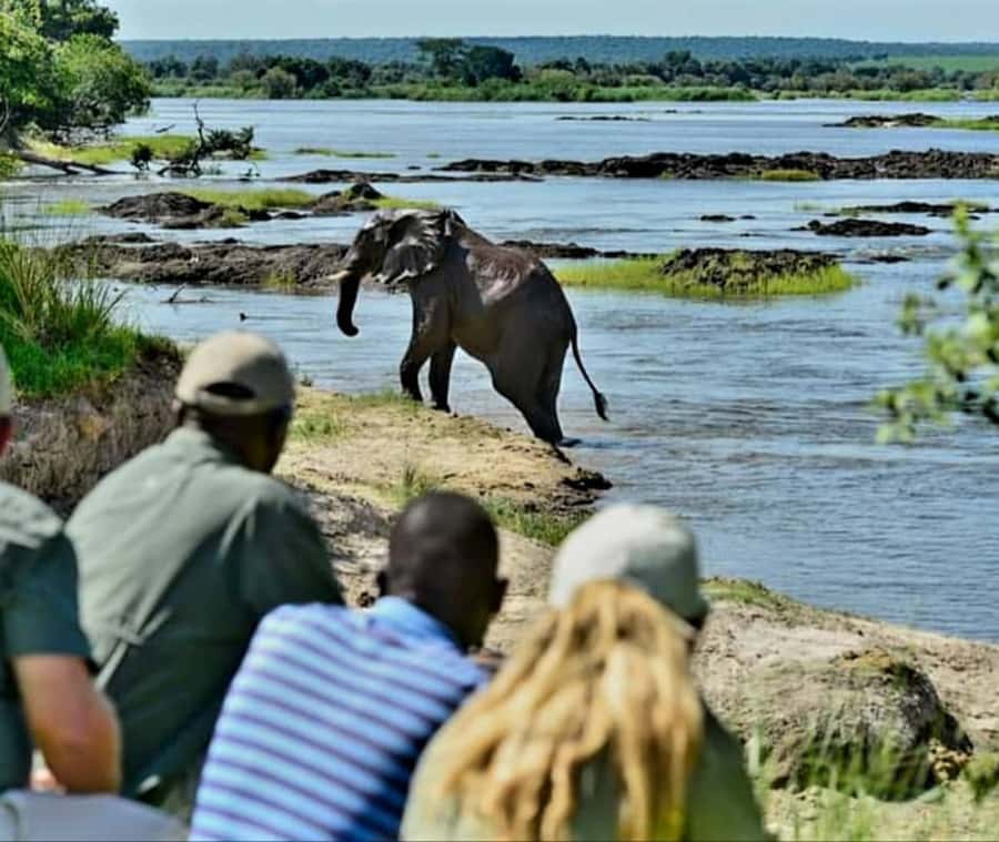 Chobe Day Trip - From Vic Falls - With Lunch (Buffet) - Is $144 a fair price?