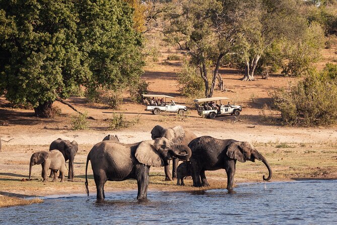 Chobe day trip from Victoria Falls - Why Chobe works as a day trip from Victoria Falls