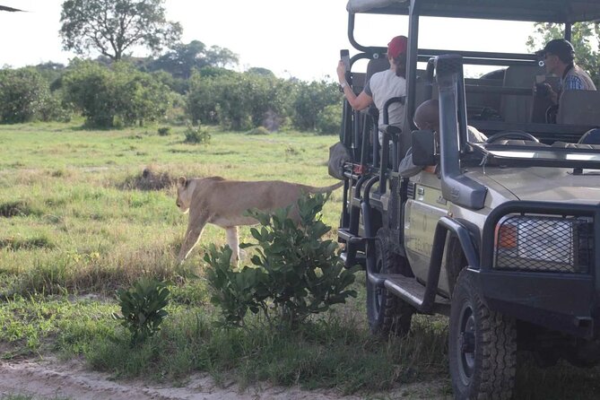 Chobe day trip from Victoria Falls - Who should book this Chobe excursion?