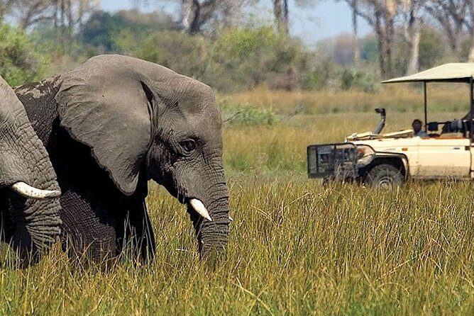 Chobe Day Trip from Victoria Falls - The guide makes or breaks the day