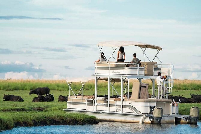 Chobe Day Trip from Victoria Falls, Zimbabwe - Border timing and the return to Victoria Falls