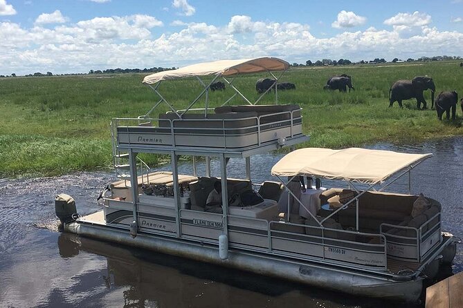 Chobe Day Trip from Victoria Falls, Zimbabwe - What $170 buys you