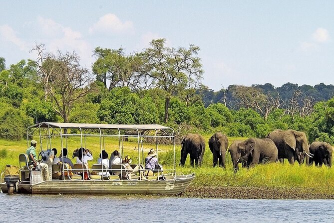 Chobe day trip from Victoria Falls - The morning transfer to Kazungula