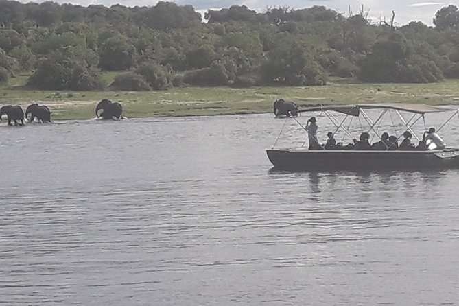 Chobe Day Trip Starting From Victoria Falls - Lunch at a local restaurant