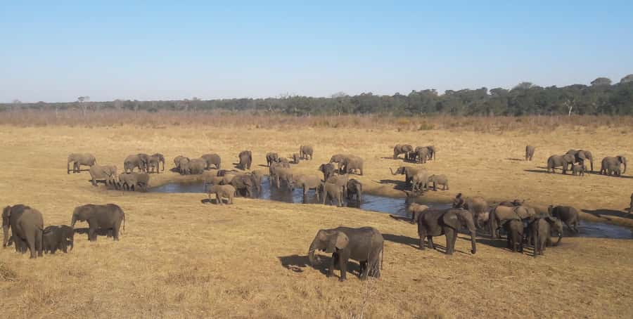 Chobe Extended Day Trip - Crossing into Chobe National Park