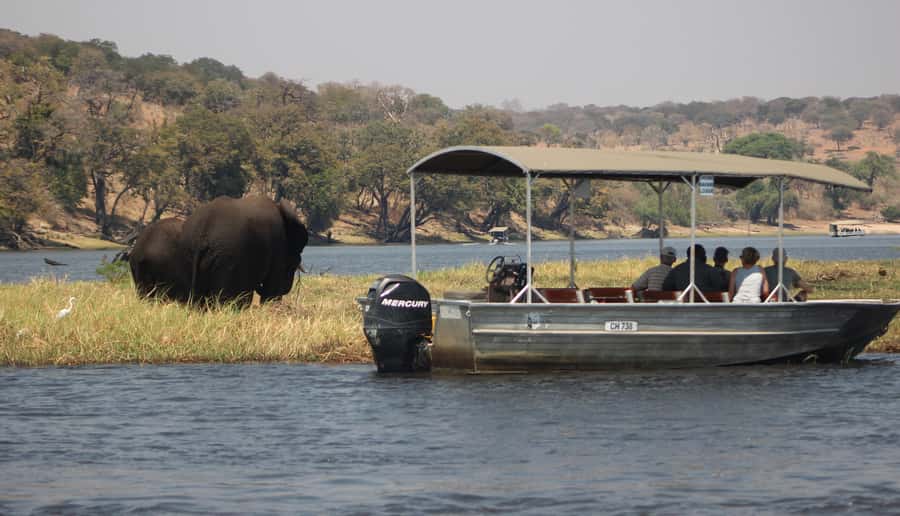 Chobe Extended Day Trip - The three-hour Chobe River cruise