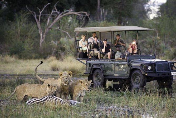 Chobe Extended Day Trip from Victoria Falls - Zimbabwe - Key points before you book