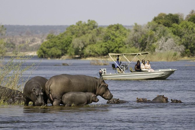 Chobe Extended Day Trip from Victoria Falls - Zimbabwe - Crossing from Victoria Falls into Botswana