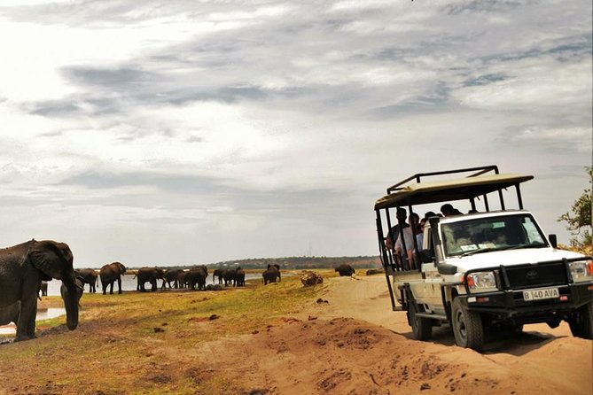 Chobe Extended Day Trip from Victoria Falls - Zimbabwe - Lunch at Chobe Safari Lodge