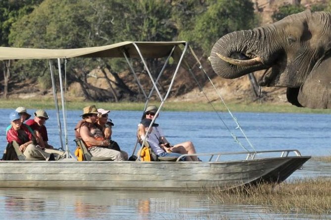 Chobe Extended Day Trip from Victoria Falls - Zimbabwe - Chobe National Park from 6:30 a.m. to lunch