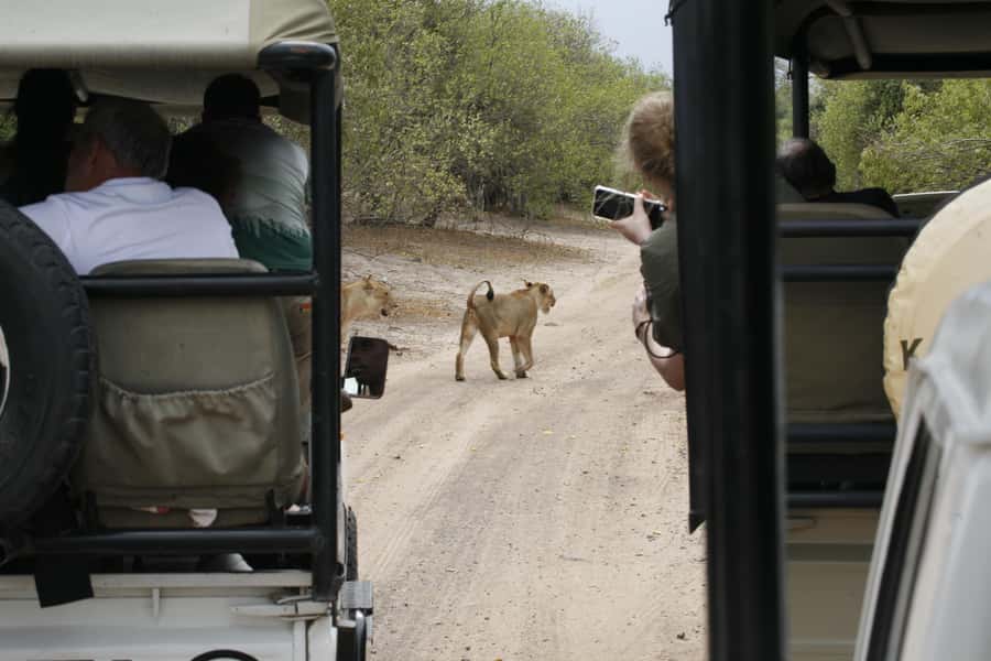 Chobe Extended Day Trip - The 5 a.m. pickup from Victoria Falls