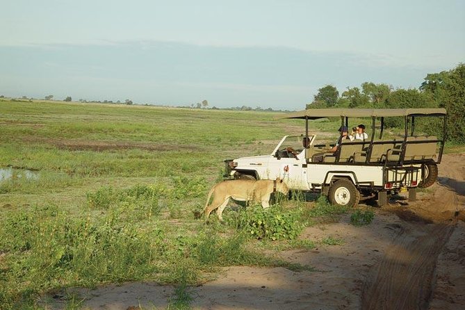 Chobe Full Day Safari From Victoria Falls - Key points to know before booking