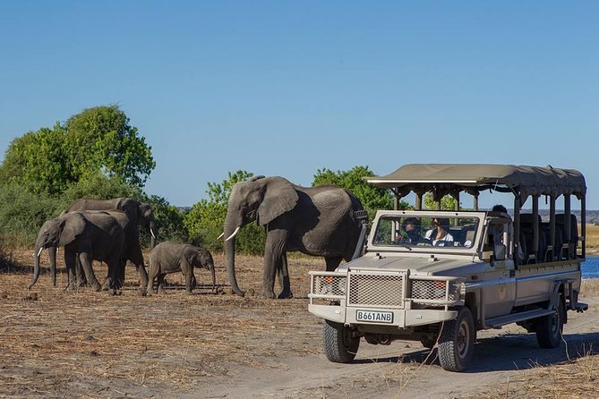 Chobe Full day Safari with Victoria falls Sunrise Tour Combo - Key points to know before booking