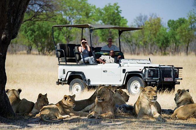 Chobe Full day Safari with Victoria falls Sunrise Tour Combo - Why this Chobe and Victoria Falls combination works