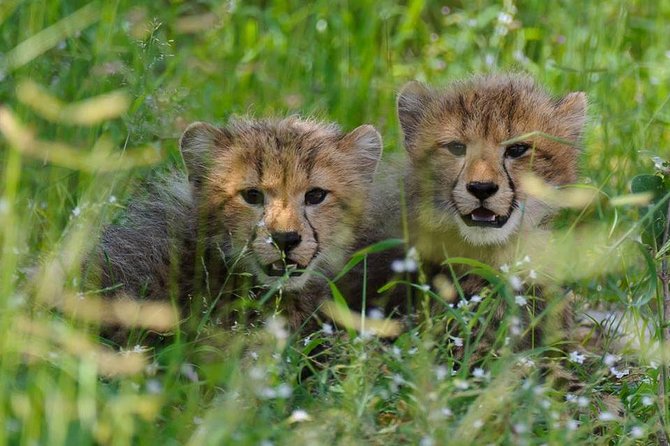 Chobe Full day Safari with Victoria falls Sunrise Tour Combo - Sunrise at all 16 Victoria Falls viewpoints