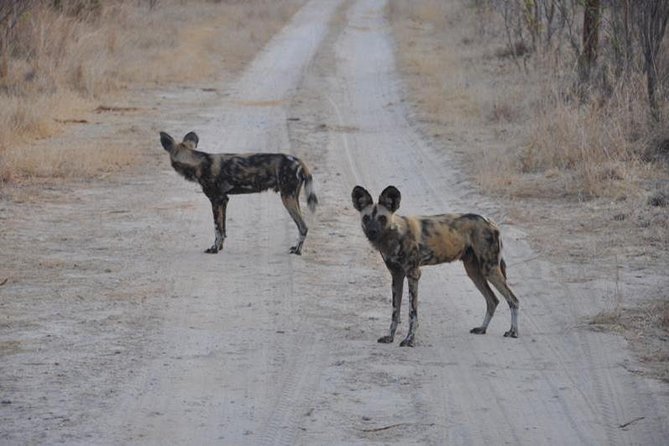 Chobe Full day Safari with Victoria falls Sunrise Tour Combo - The 8:30 a.m. game drive into Chobe