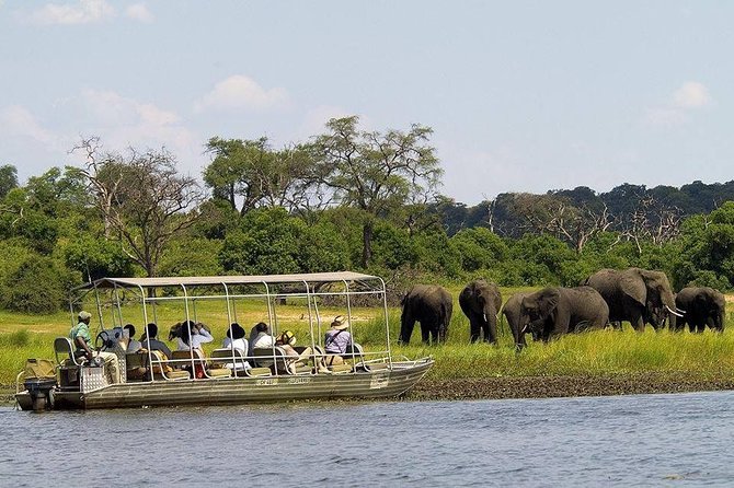 Chobe Full Day Trip - What the $170 price really covers