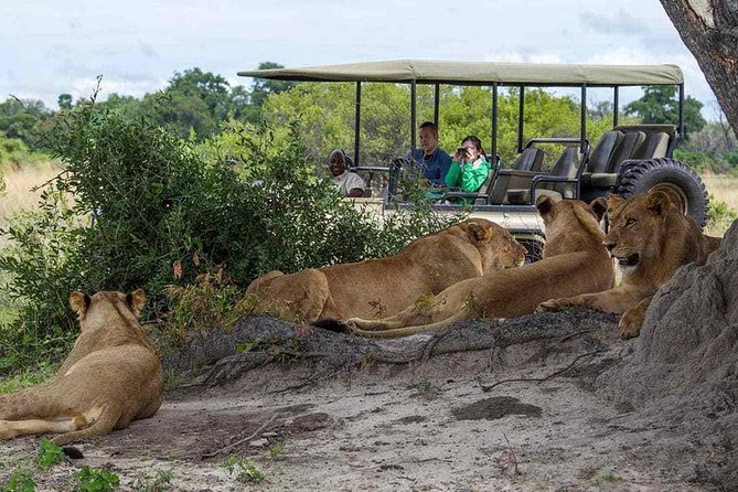 Chobe Full Day Trip From Victoria Falls - Key points to know before booking