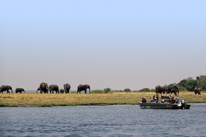 Chobe Full Day Trip From Victoria Falls - Why Chobe makes sense from Victoria Falls