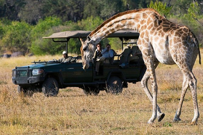 Chobe Full Day Trip From Victoria Falls - Border crossings can shape the whole day