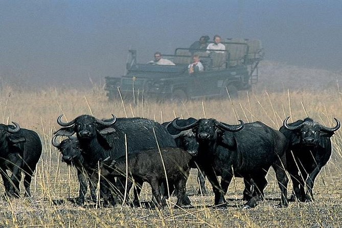 Chobe Full Day Trip From Victoria Falls - Who will get the most from this trip?