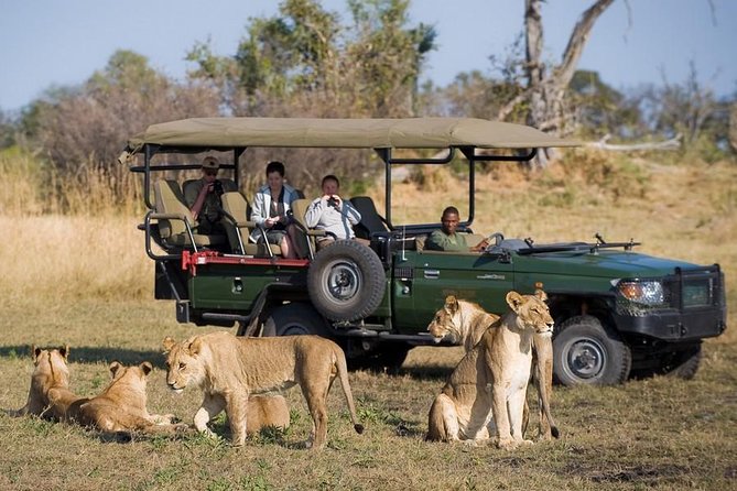 Chobe Full Day Trip From Victoria Falls - What to bring and how to prepare