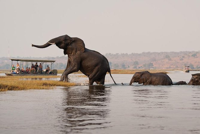 Chobe Full Day Trip From Victoria Falls - The 7:00 am pickup and road to Botswana