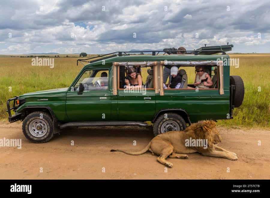 Chobe Half Day Trip from Victoria Falls - Morning game drive: the best pick for moving wildlife