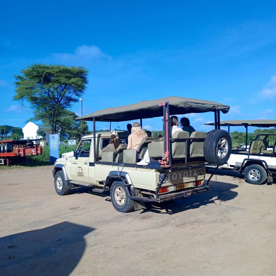 Chobe Half Day Trip from Victoria Falls - What the mixed service record means for you