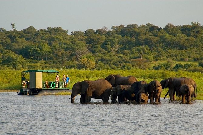 Chobe National Park 4X4 Day Safari and River Cruise - Key things to know before booking