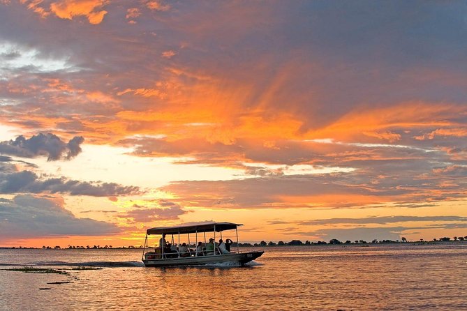 Chobe National Park 4X4 Day Safari and River Cruise - Price, inclusions, and real value at $225