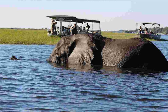 Chobe National Park 4X4 Day Safari and River Cruise - Lunch at Chobe Safari Lodge