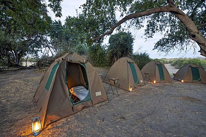 Chobe National Park Camping Safari From Victoria Falls (2 Days and 1 Night) - Afternoon tea and the final game drive