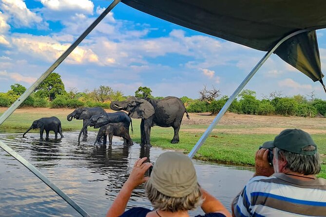 Chobe National Park Day Trip from Victoria Falls with Lunch - Why Chobe makes a good day trip from Victoria Falls