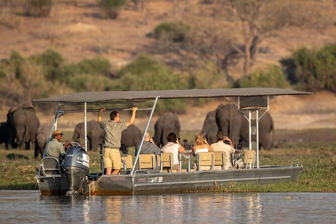 Chobe National Park Day Trip from Victoria Falls with Lunch - The Chobe River boat cruise