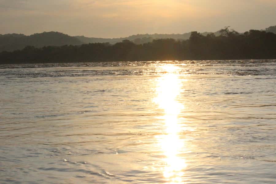 Chobe National Park: Game Drive, Boat Tour, and Lunch - The afternoon boat cruise on the Chobe River