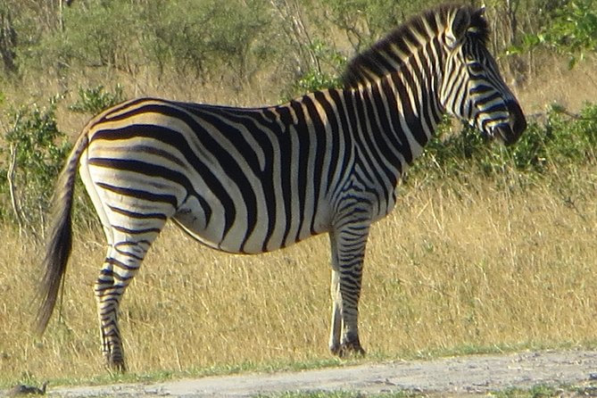 Chobe Safari Overnight Camping Trip - The Chobe River cruise at 2:00 p.m.