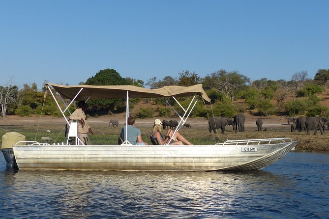Chobe Sunrise upto Sunset Day trip from Victoria Falls 5AM - 7PM - The Chobe River cruise